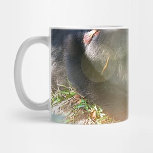 Sleepy Bear Mug